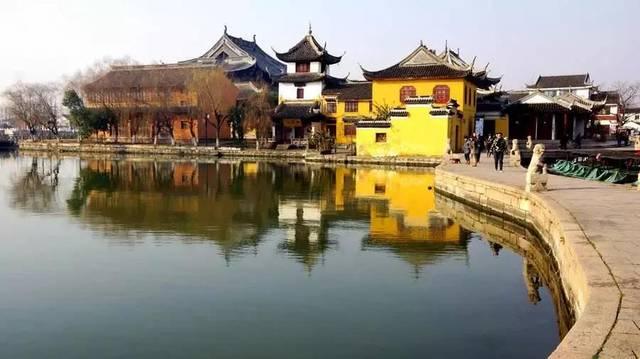 草龟不给他两天水会死吗?-发现与分享的红迪网平台
